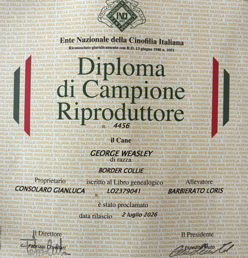 Diploma Campione Riproduttore